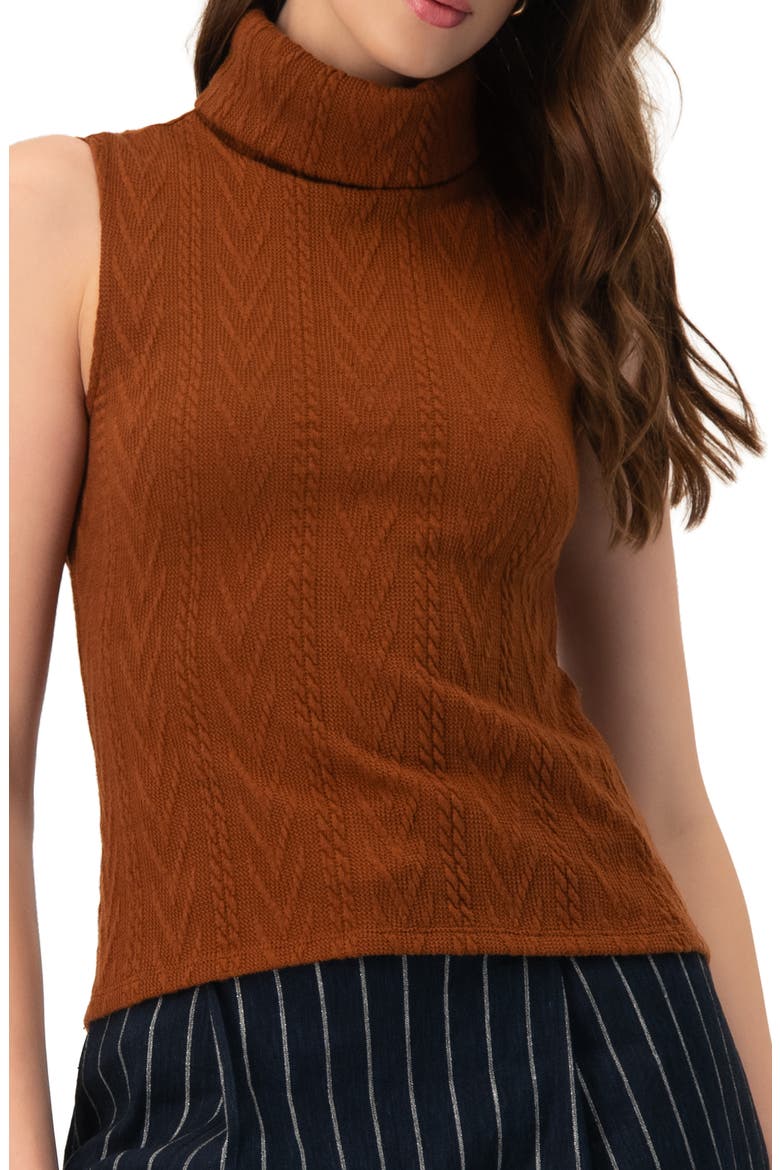 High Neck Sleeveless Knit Top, Main, color, Brown