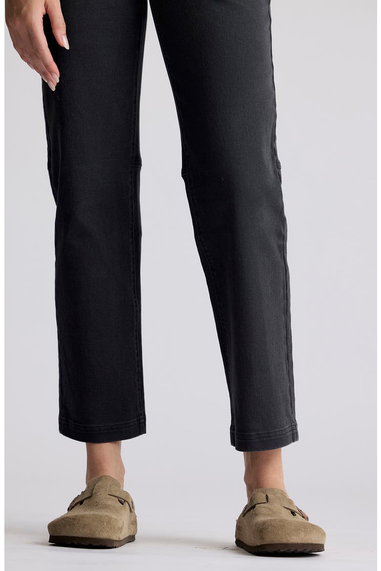 Folly Straight Leg Ankle Stretch Cotton Twill Pants, Alternate, color, BLACK SAND