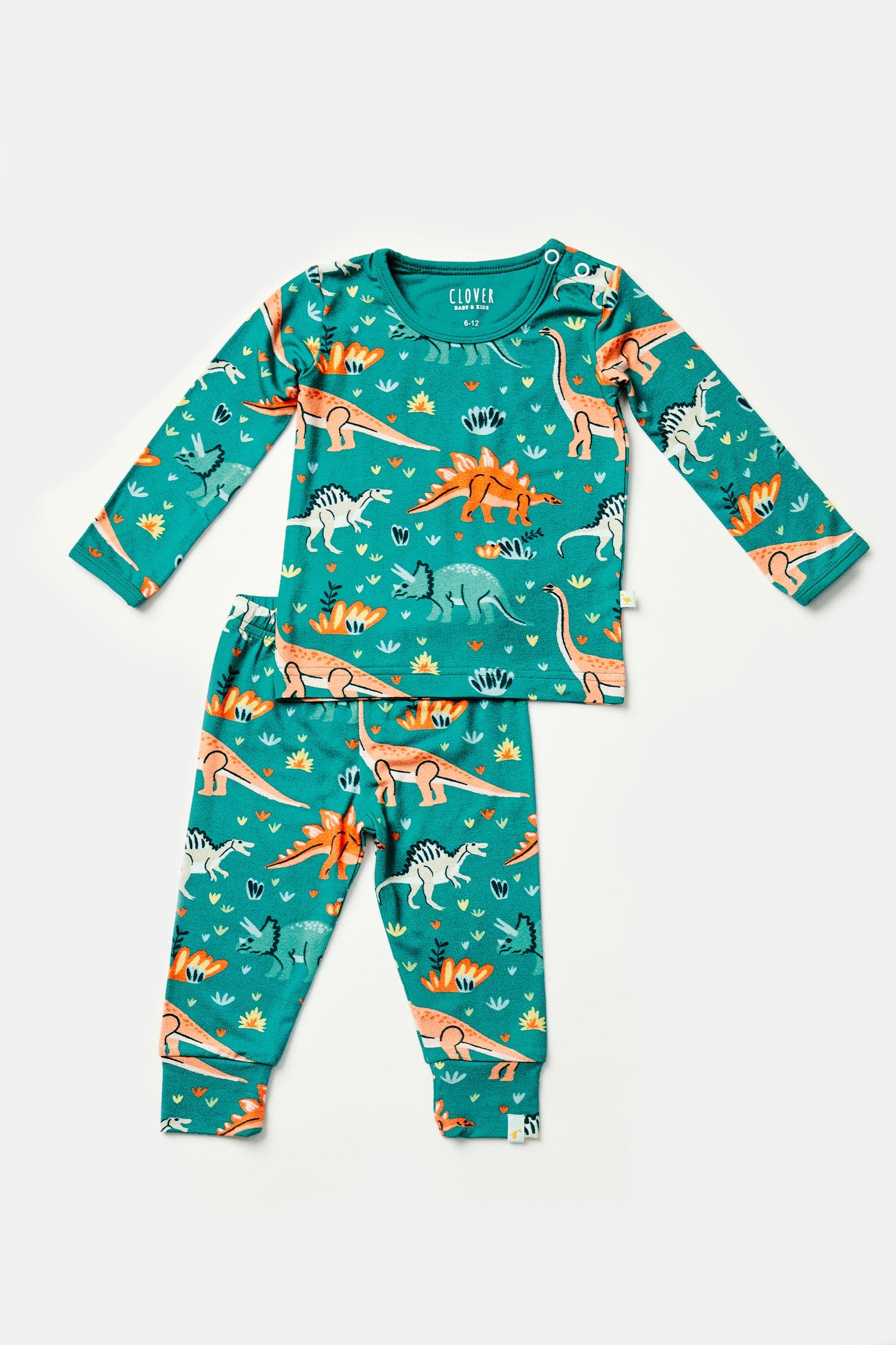 selected Dinosaur Jungle