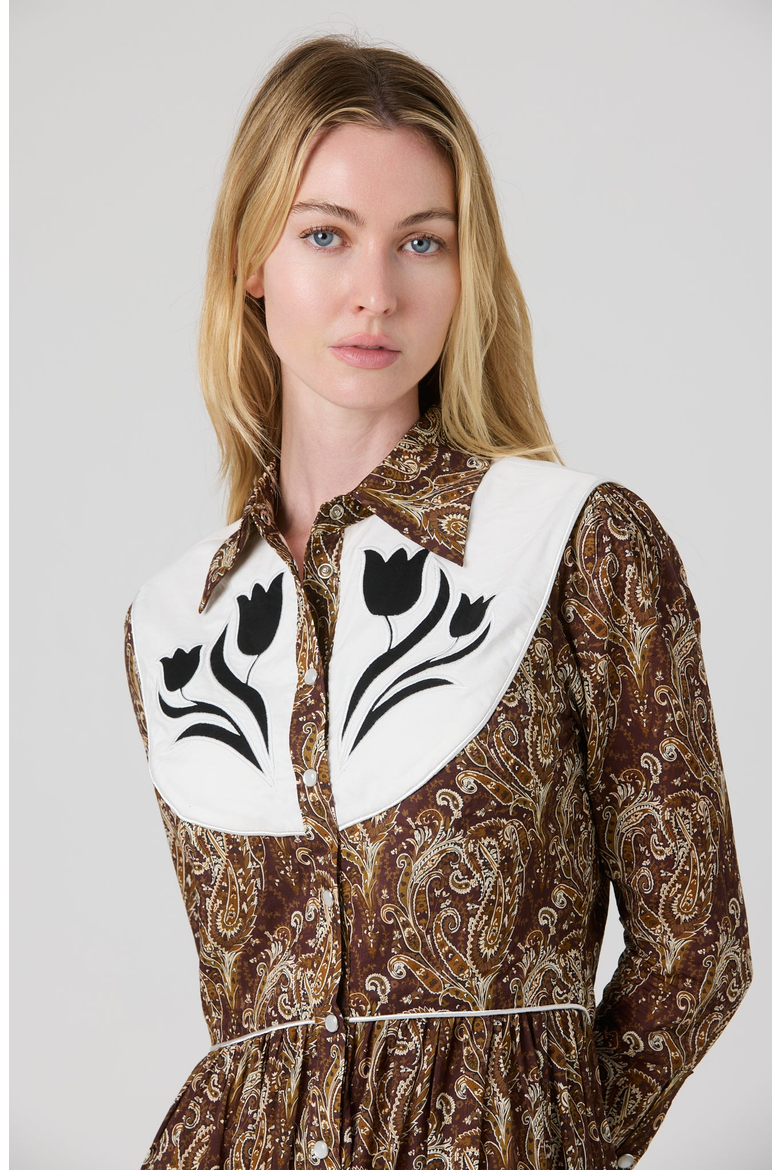 Beck Dress, Alternate, color, Brown Paisley