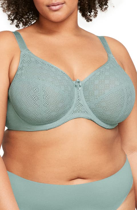 Full Figure Lace Underwire Bra