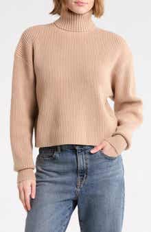 Cozy Rib Turtleneck Sweater