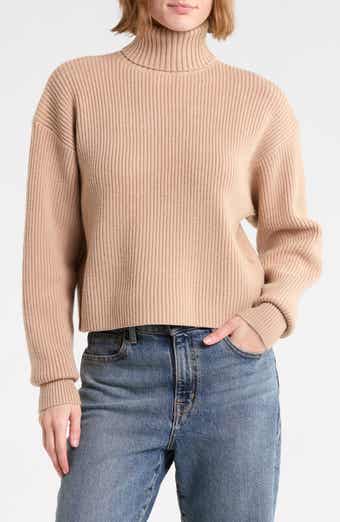 Cozy Rib Turtleneck Sweater