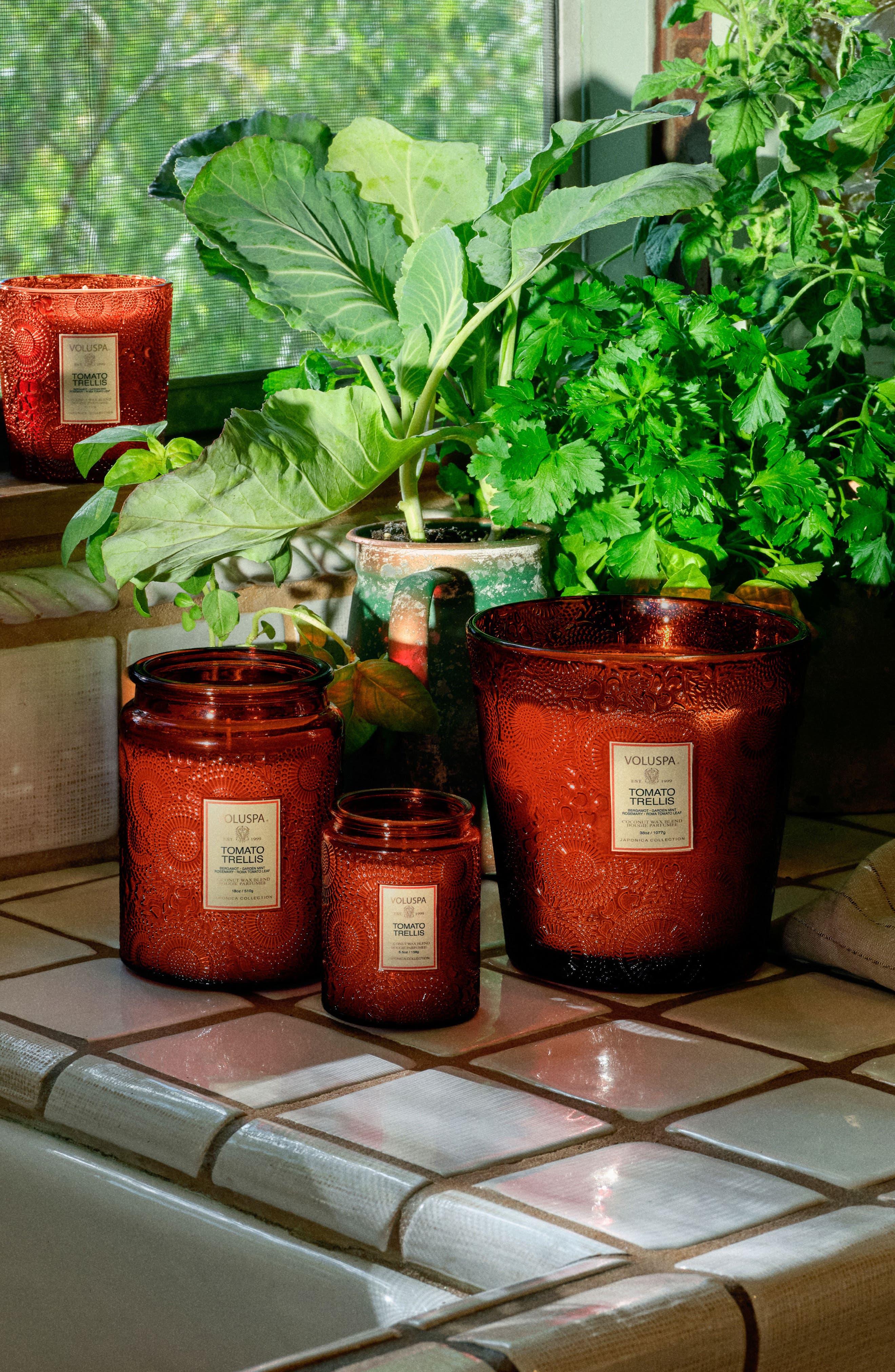 Voluspa Tomato Trellis Small Jar Candle | Nordstrom