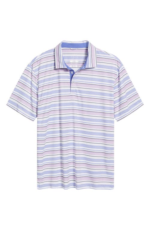 Swannies Tracks Stripe Golf Polo In Iris