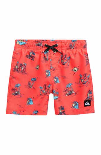 Quiksilver Kids' Everyday Mix Swim Trunks