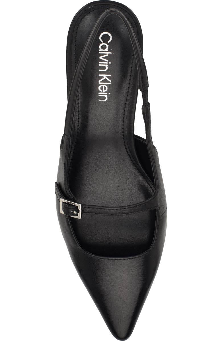 Calvin Klein Kallien Slingback Pointed Toe Kitten Heel Pump, Alternate, color,