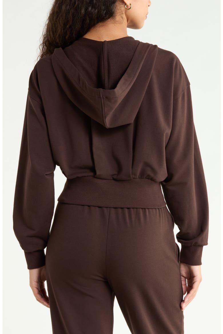Weekend Stretch Cotton Blend French Terry Hoodie, Alternate, color, BROWN MOLE'