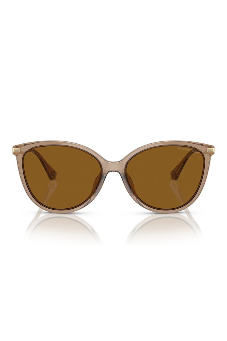 Dupont 58mm Polarized Cat Eye Sunglasses, Main, color, BROWN TRANSPARENT/ BROWN POLAR