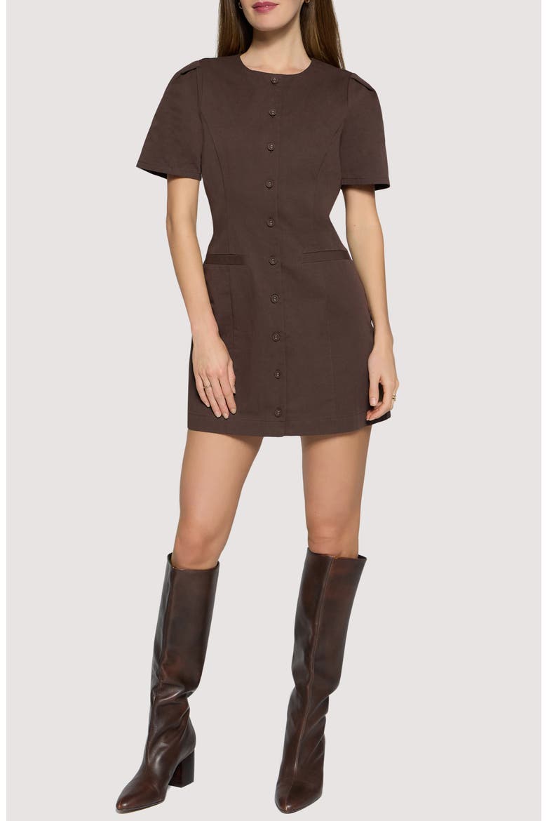 City Vista Cotton Minidress, Main, color, DEEP-BROWN