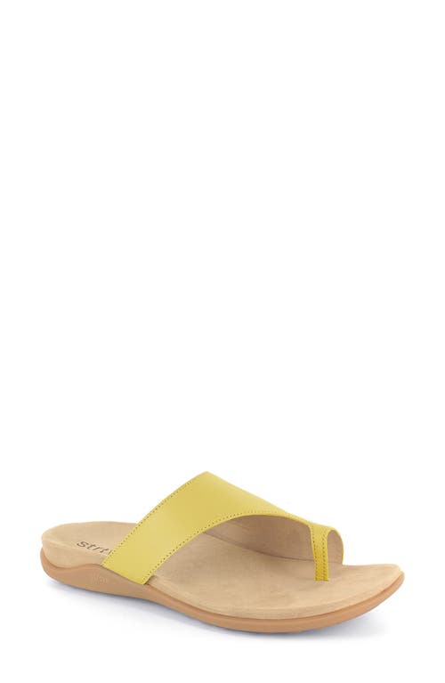 Strive Capri Iii Toe Loop Sandal In Multi
