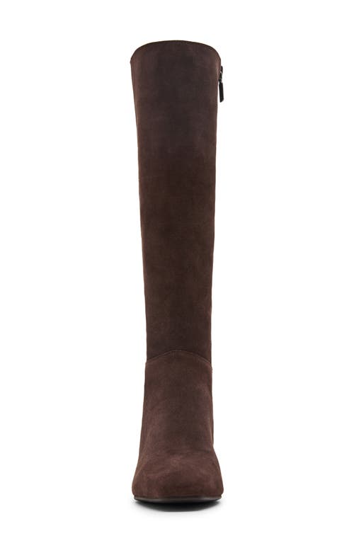 Blondo Stella Waterproof Knee High Boot In Brown
