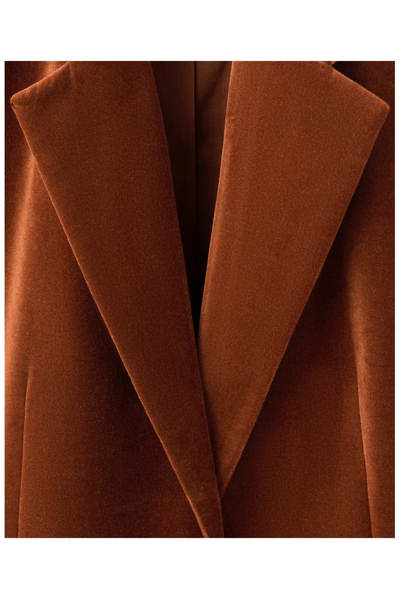 Velvet Blazer, Alternate, color, BURNT ORANGE