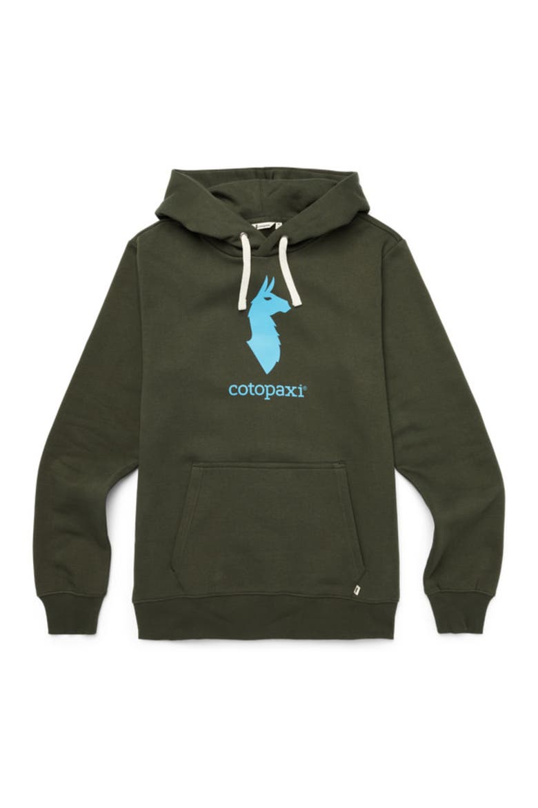 Llama Pullover Hoodie - Men's, Alternate, color, Woods