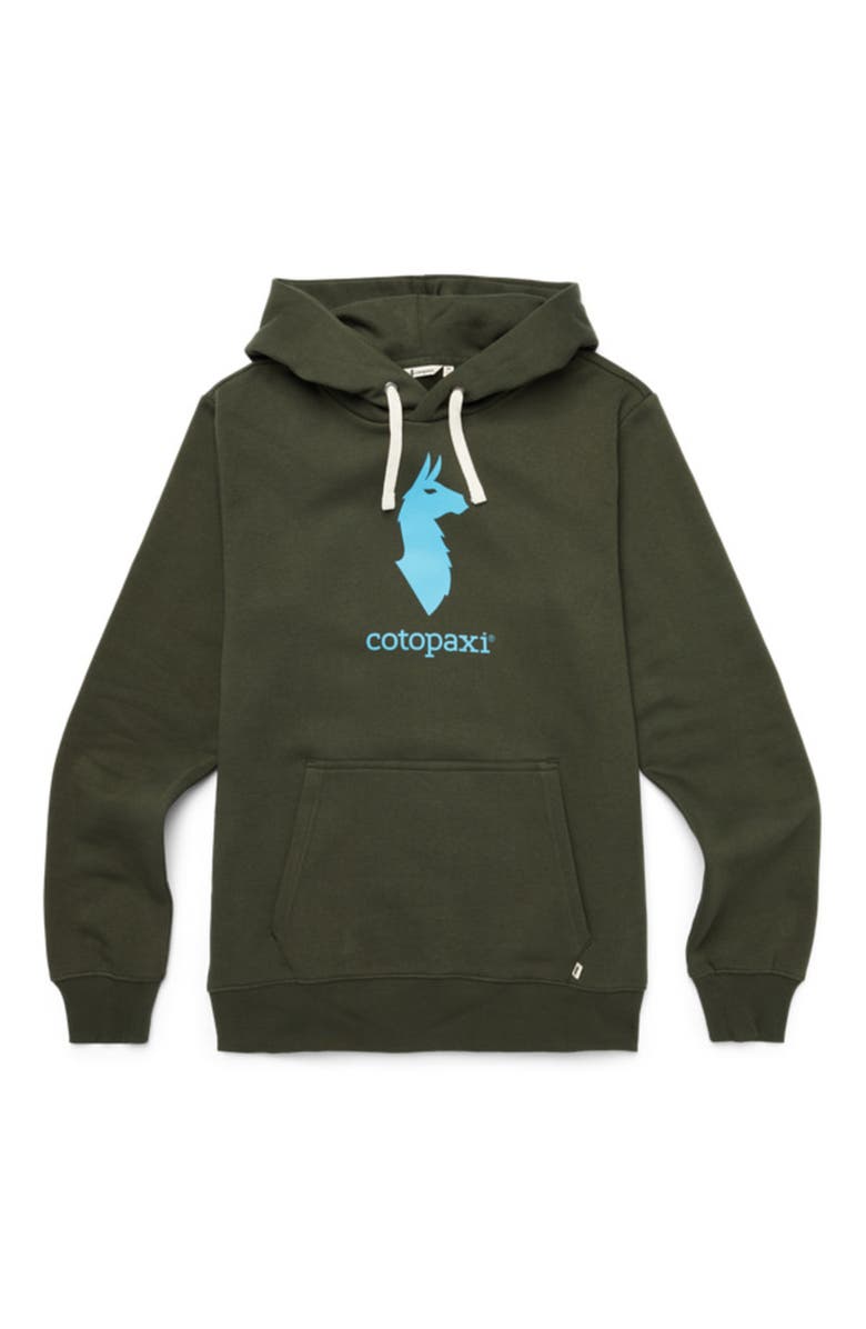 Cotopaxi Llama Pullover Hoodie - Men's, Alternate, color, Woods