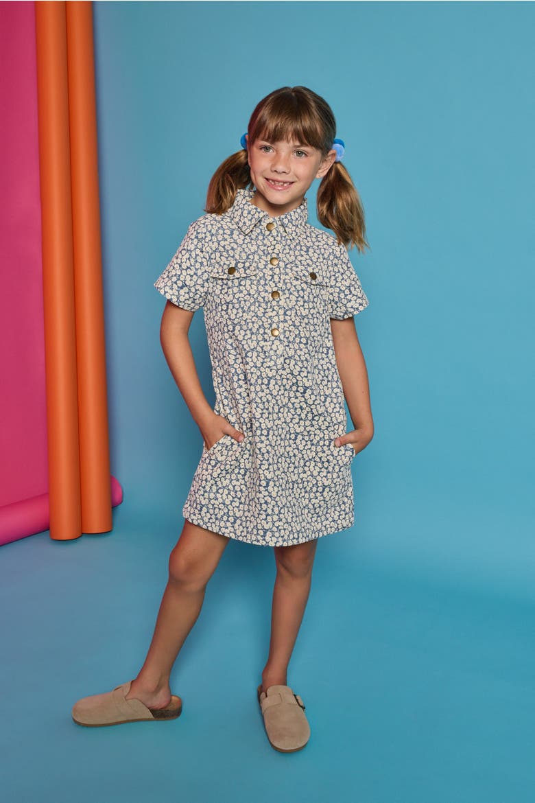 Kids' Safari Popover Dress, Alternate, color, French Blue Floral