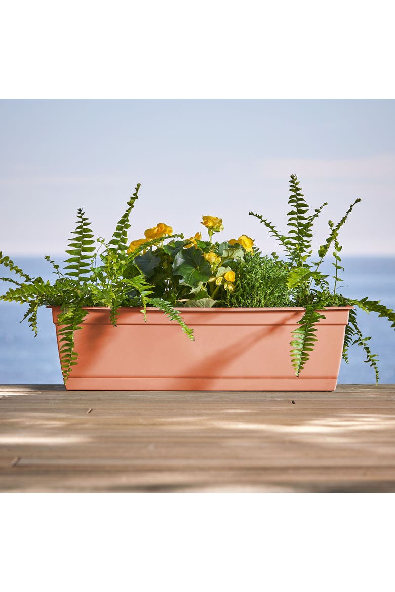 24 Inch Dayton Window Box Planter, Coral, Alternate, color, Brown