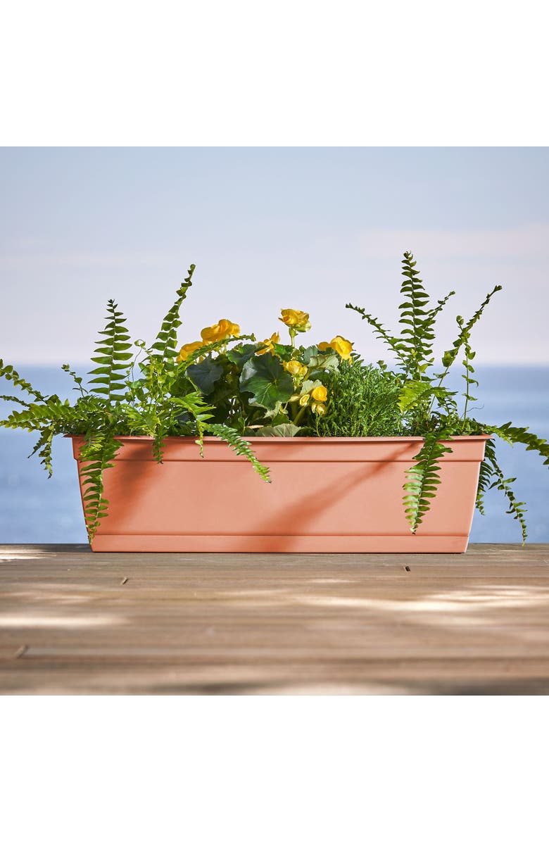 Bloem 24 Inch Dayton Window Box Planter, Coral, Alternate, color, Brown