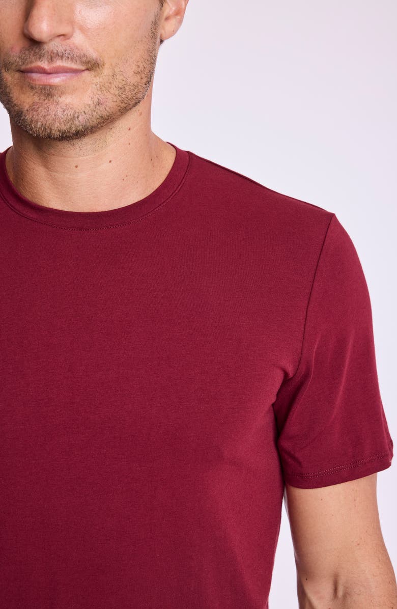 PAISLEY & GRAY Lucas Crewneck T-Shirt, Alternate, color, Wine