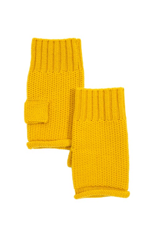 Echo The Crosby Handwarmer In Yellow