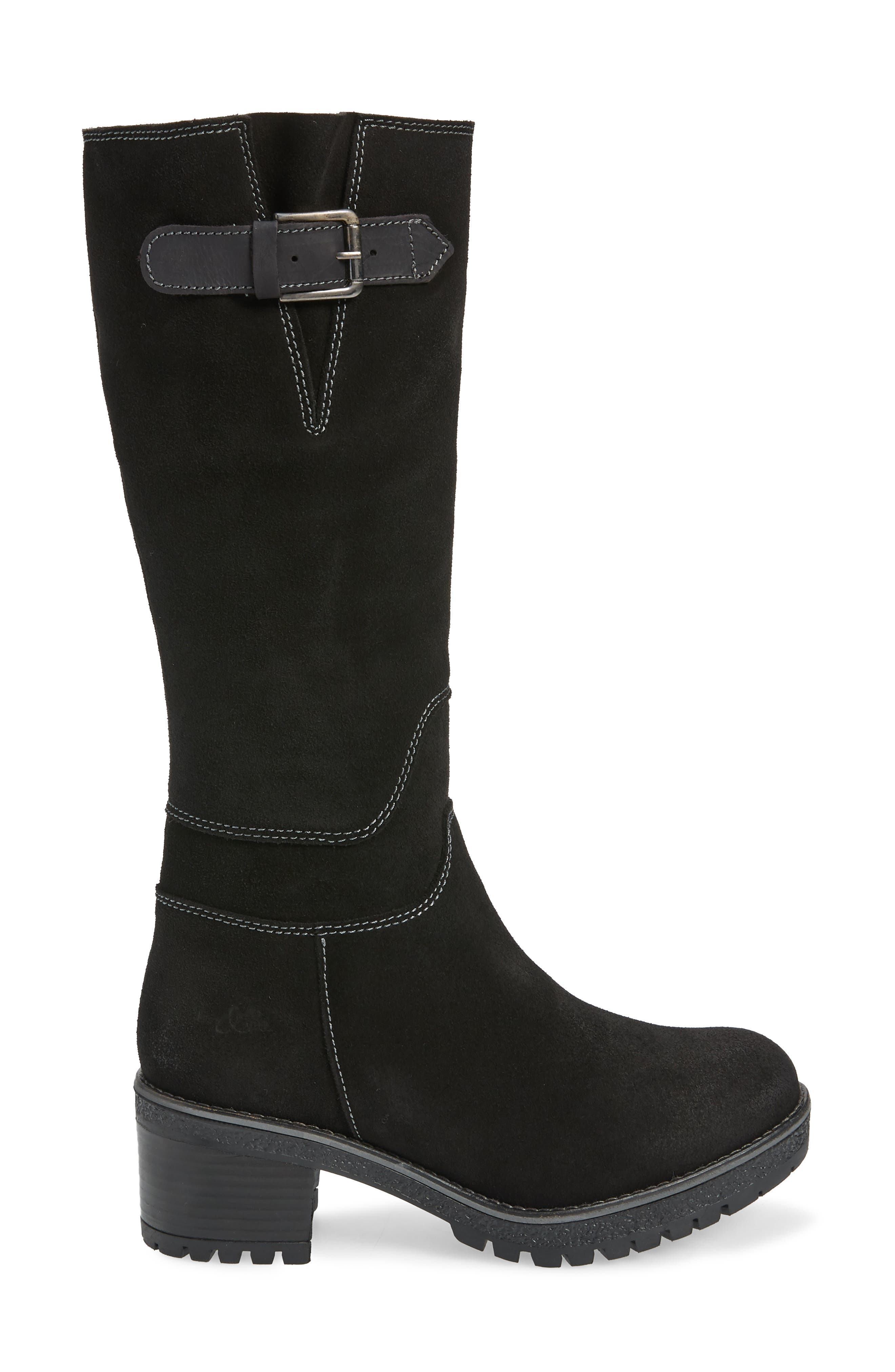 Bos. & Co. Martial Wool Lined Waterproof Suede Tall Boot, Alternate, color, 