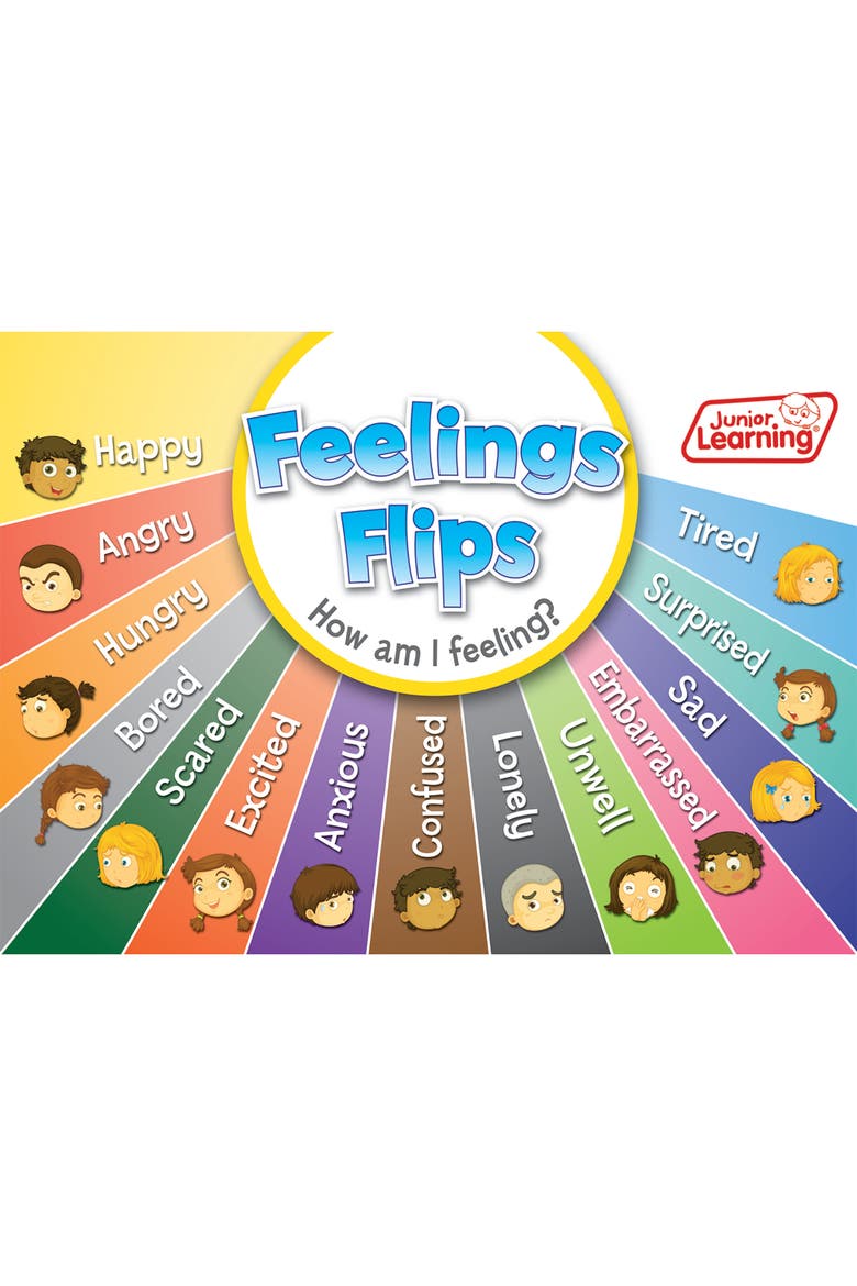 Flip Chart Feelings Flash Cards, Alternate, color, Multicolored
