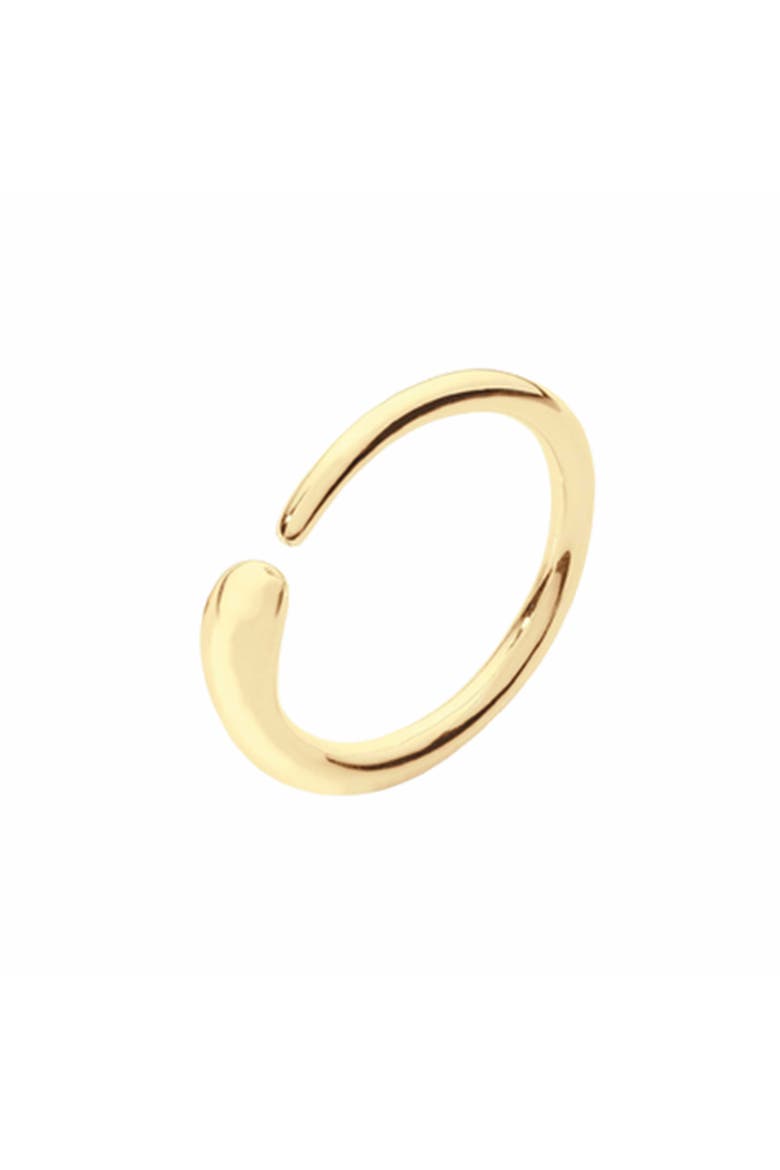 Single Drop Ring in Gold Vermeil, Main, color, Gold