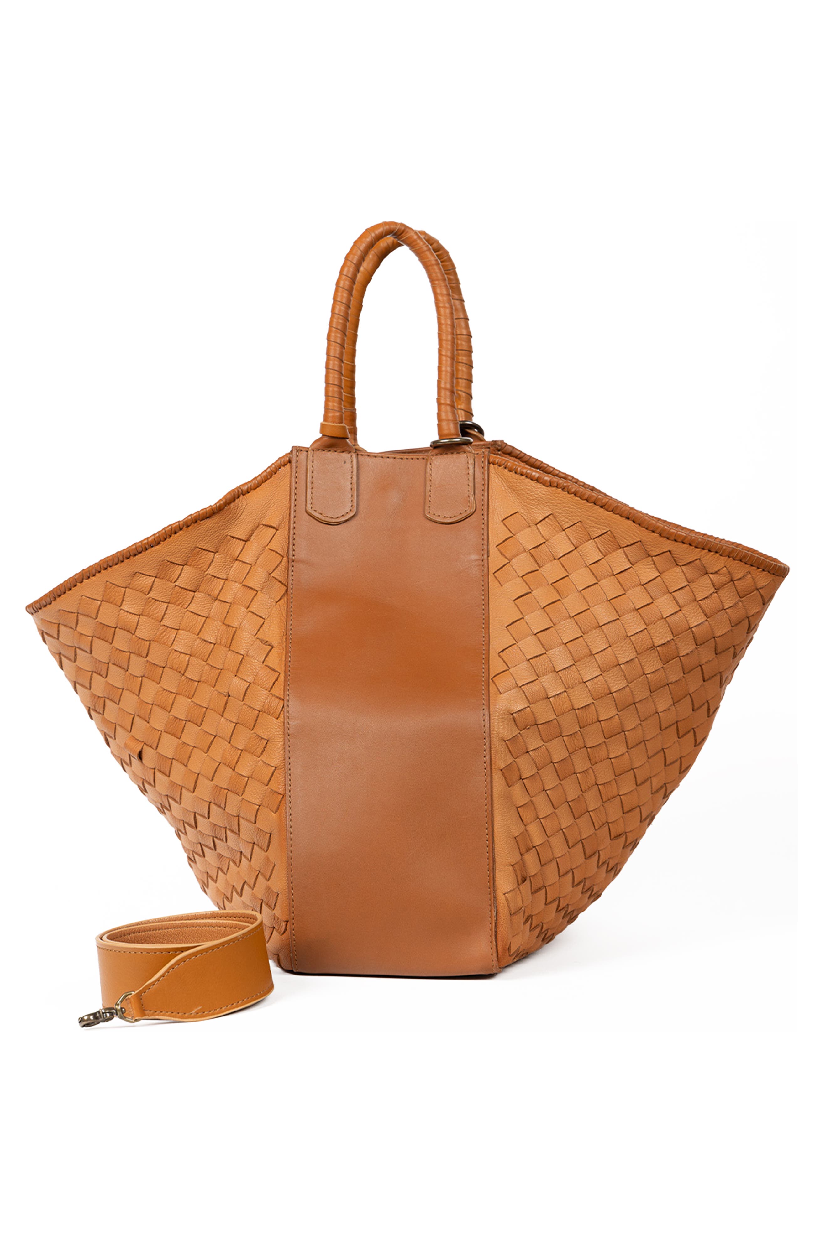 Two-Tone-Camel