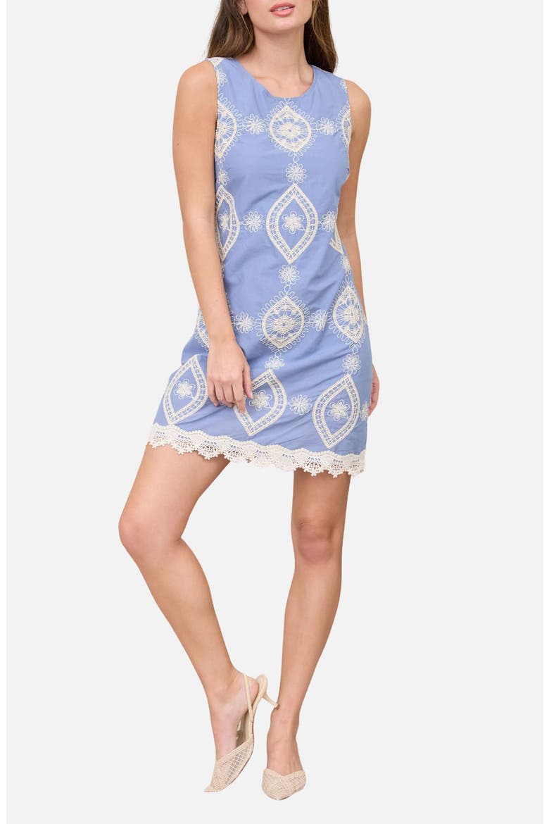 Floral Embroidered Sleeveless Cotton Minidress, Main, color, LIGHT DENIM