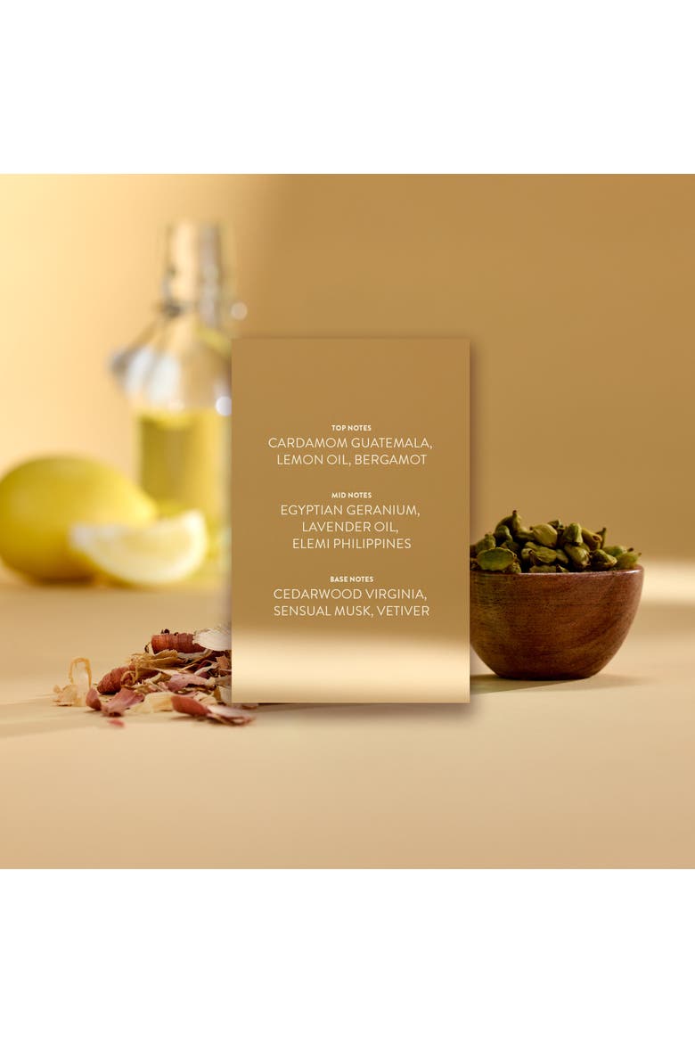 Citizen Jack Mohave Eau de Parfum, Alternate, color, 10ml