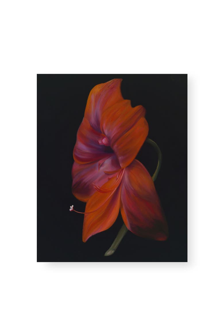La Belle Dame by Holly Lowen, 8x10 Art Print, Main, color, Red