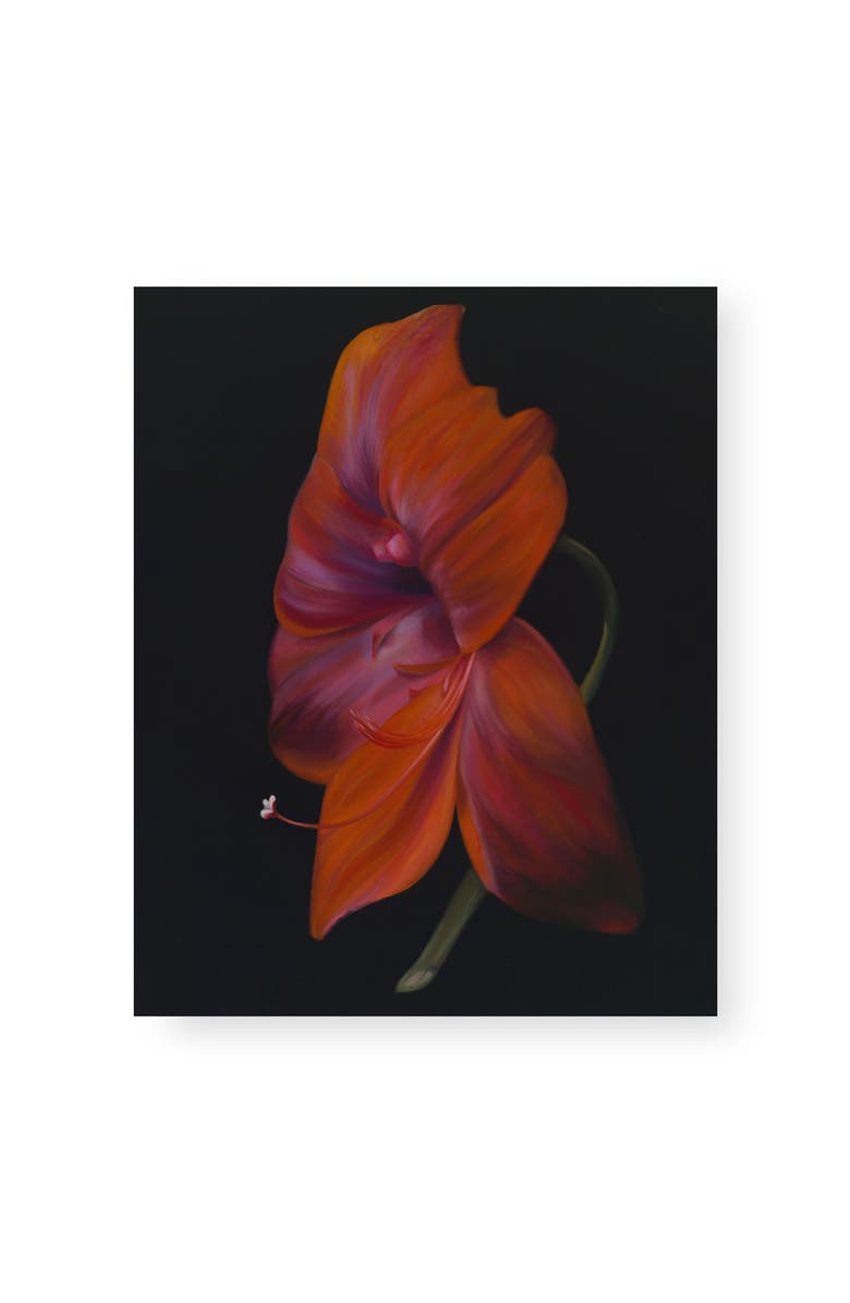 Bond & Grace La Belle Dame by Holly Lowen, 8x10 Art Print, Main, color, Red