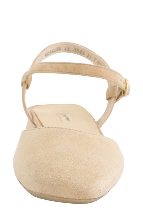 Paul Green Bianca Ankle Strap Pump In Dakar Suede