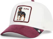 Goorin Bros. Alpha Baseball Cap