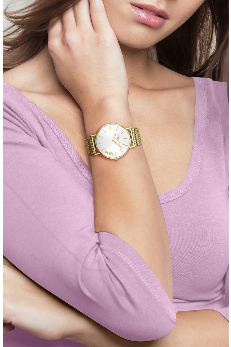 Perry Mesh Band Watch, 36mm, Alternate, color, GOLD/ WHITE