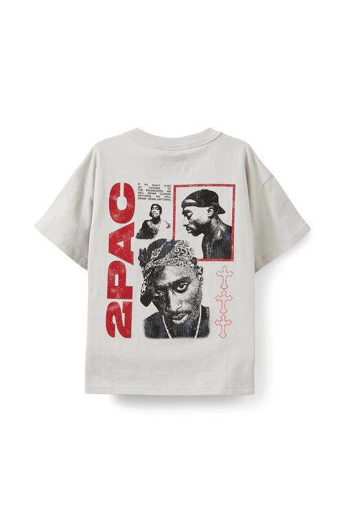Cotton On Kids Kid's Licensed Drop Shoulder Short Sleeve Tee In Winter Grey 2pac