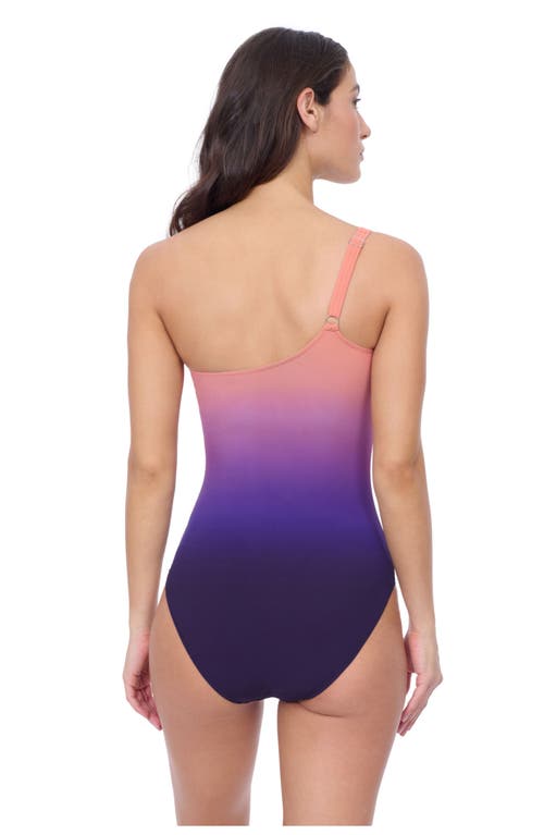 Profile By Gottex Splendor Ombre One Shoulder One Piece In Multi