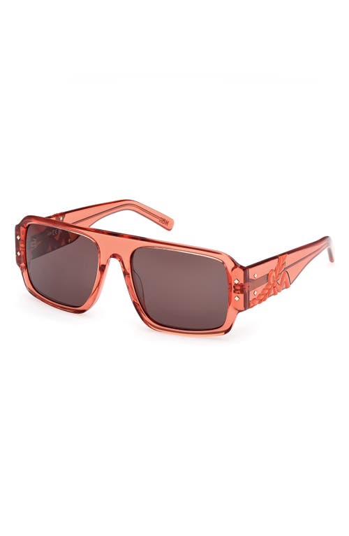 Mcm 55mm Polarized Navigator Sunglasses In Shiny Orange/brown