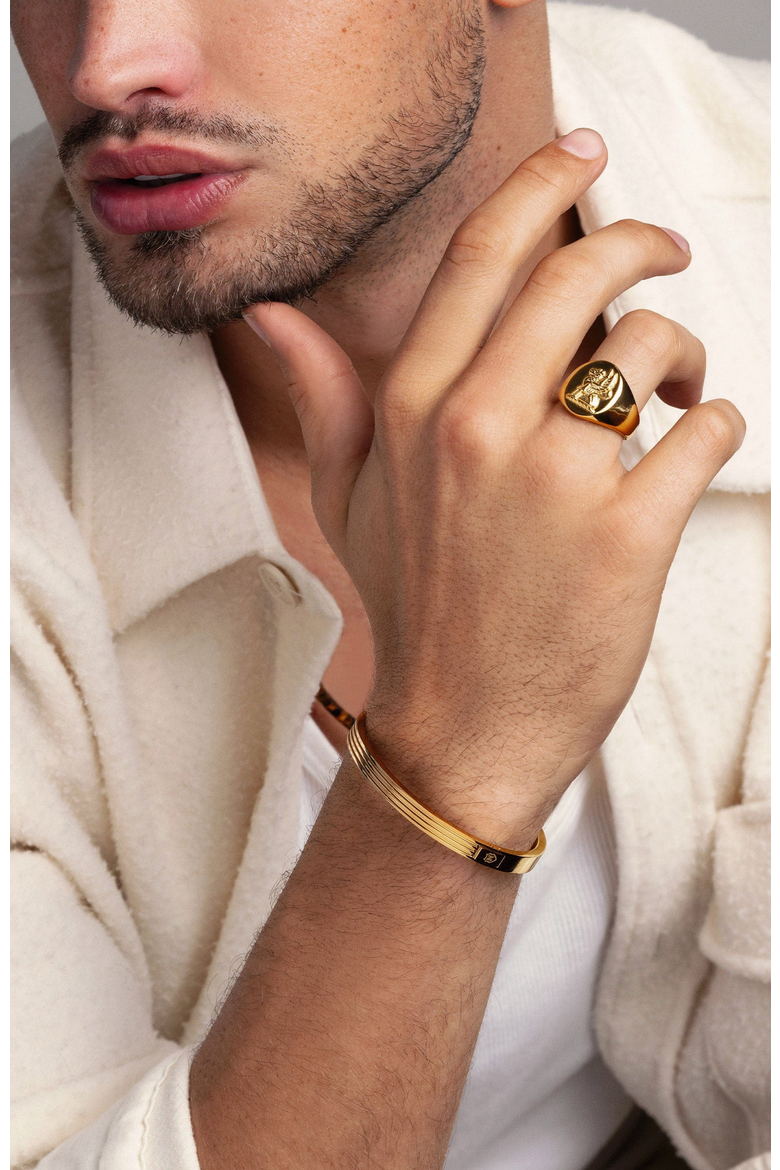 Lion Crest Ring, Alternate, color, Gold