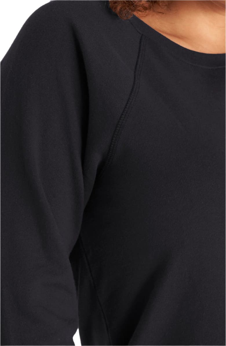 The Standard Stitch The Raglan Sweatshirt, Alternate, color, Onyx