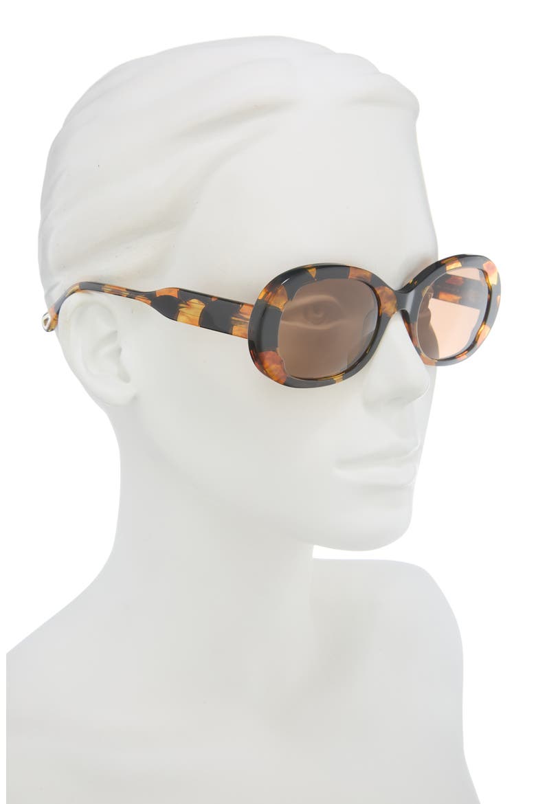 Oval Sunglasses, Alternate, color, HAVANA HAVANA BROWN