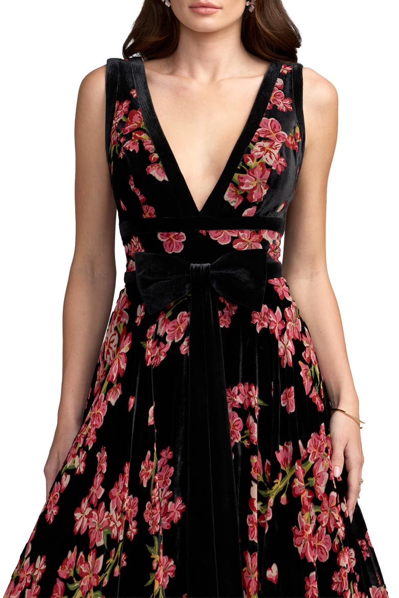 Floral Velvet A-Line Gown with Bow, Alternate, color, Black Multi