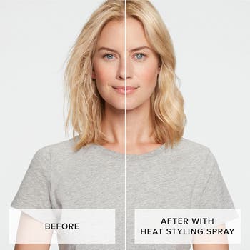 Perfect hair Day<sup>™</sup> Heat Styling Spray