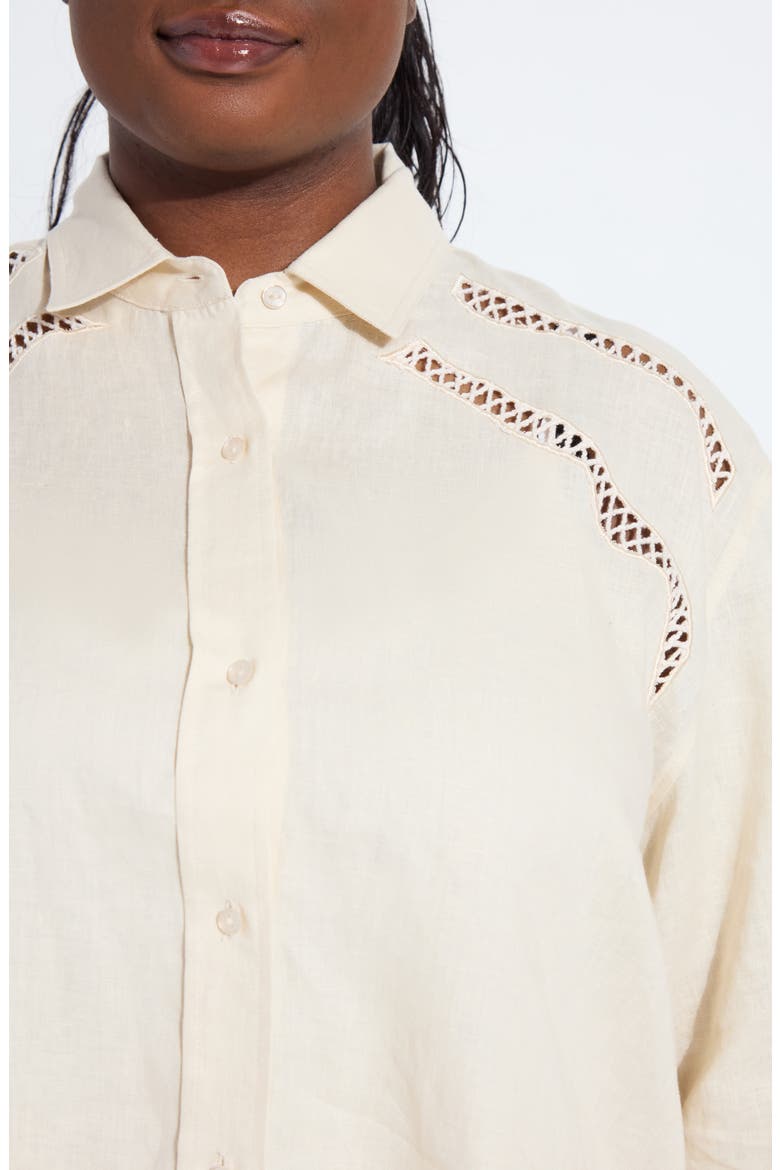 Roxanna Embroidered Linen Button-Up Shirt, Alternate, color, SAILCLOTH