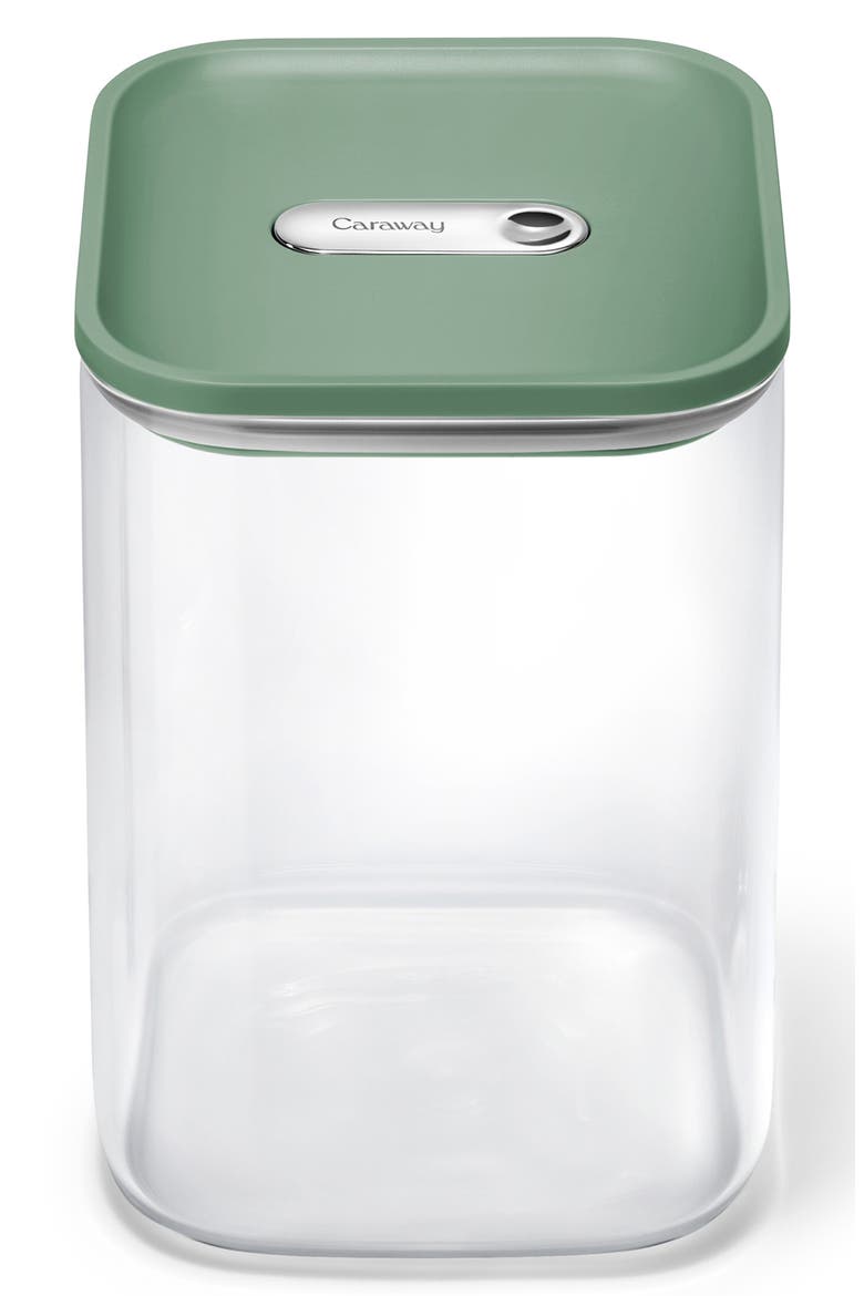 Large 4-Quart Airtight Storage Container, Main, color, SAGE