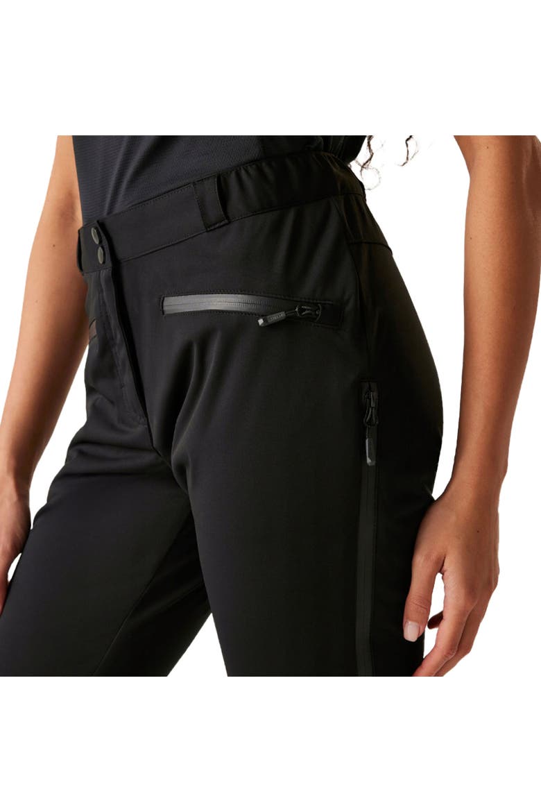 Assert Hiking Trousers, Alternate, color, Black