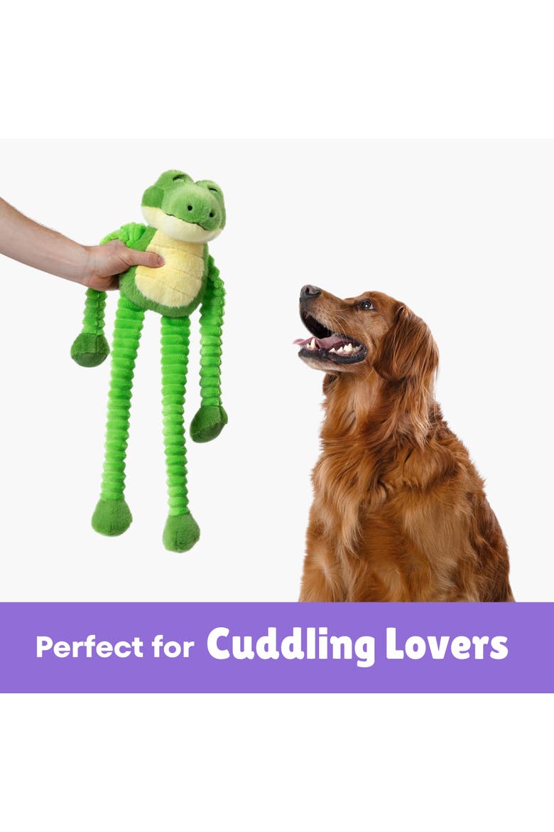 Alan Alligator, 24 Inch Dog Toy, Alternate, color, Multicolored
