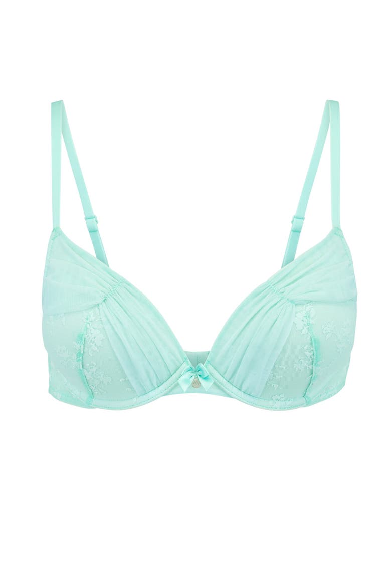 Wren Push Up Plunge Bra, Alternate, color, Light blue