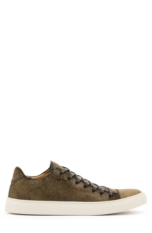 John Varvatos 315 Reed Genuine Calf Hair Low Top Sneaker In Gold