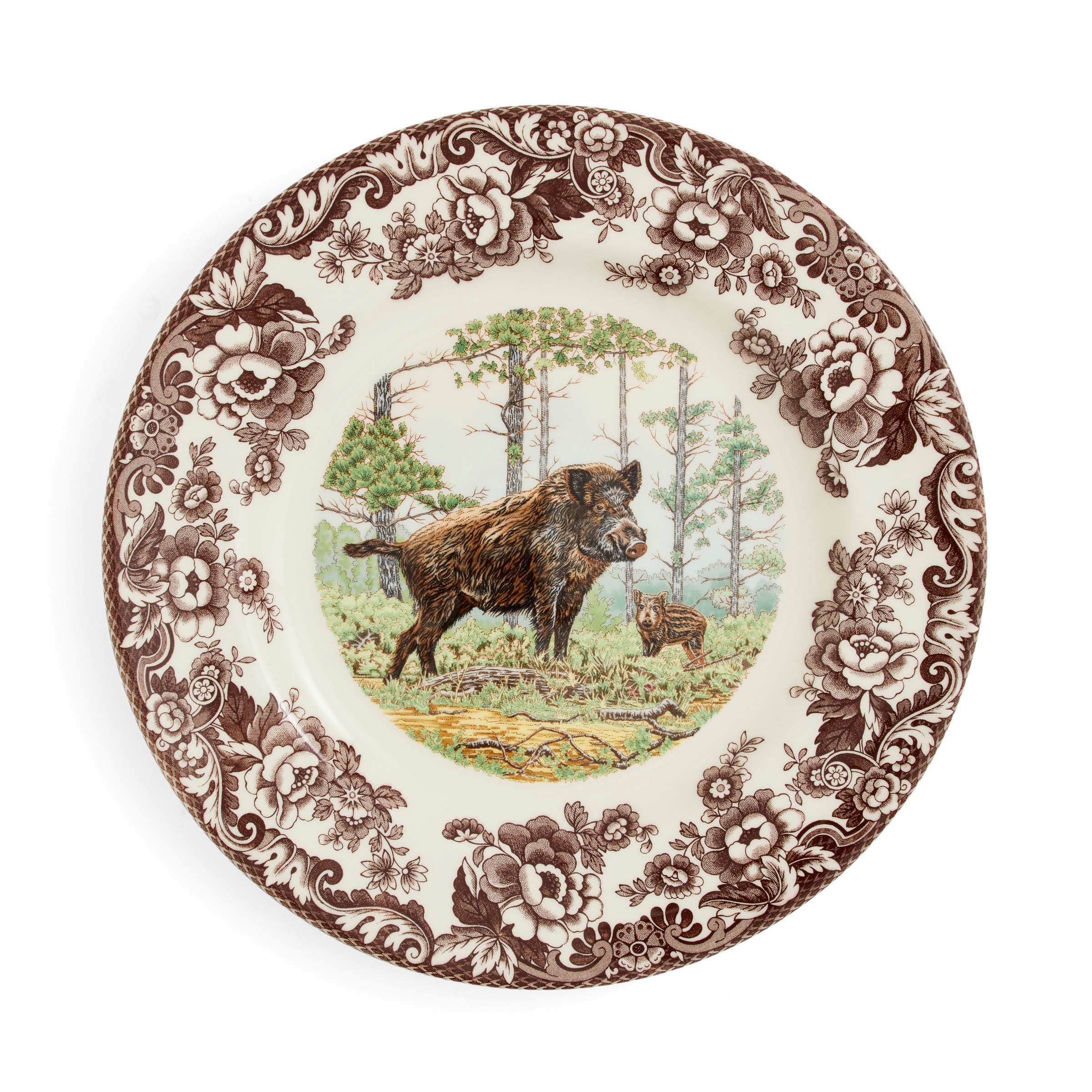 Wild Boar